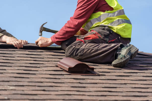 Roof Gutter Cleaning in Dayton, TX